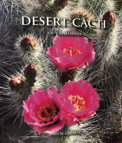 Desert Cacti of California