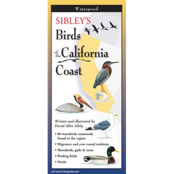 Sibley's Backyard Birds of the California Coast
