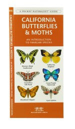 California Butterflies and Moths