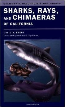 Sharks, Rays and Chimaeras of California