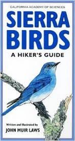 Sierra Birds A Hiker's Guide