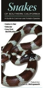 Snakes of Southern California, A Guide to Common and Notable Species
