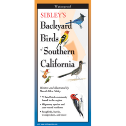 Sibley's Backyard Birds of Southern California