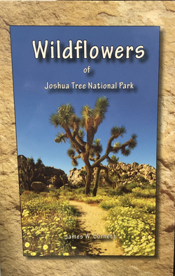 Wildflowers of Joshua Tree National Park