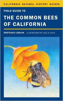 Field Guide To The Common Bees of California