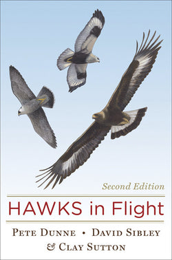 Hawks in Flight - The Flight Identification of North American Raptors