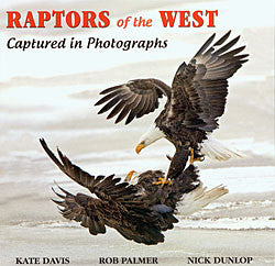 Raptors of the West: Captured in Photographs