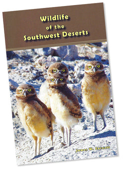 Wildlife of the Southwest Deserts