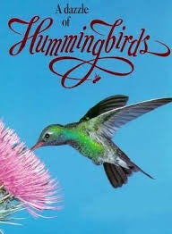 A Dazzle of Hummingbirds