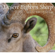 Desert Bighorn Sheep Wilderness Icon