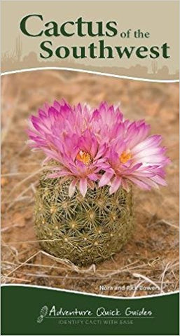 Cactus of the Southwest
