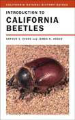 Introduction to California Beetles - California Natural History Guides No. 78