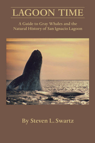Lagoon Time A Guide to Gray Whales and the Natural History of San Ignacio Lagoon