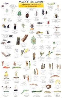 MAC's Field Guide Bad Garden Bugs Of California