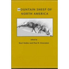 Mountain Sheep of North America