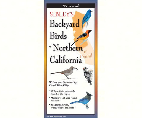 Sibley's Backyard Birds of Northern & Central California