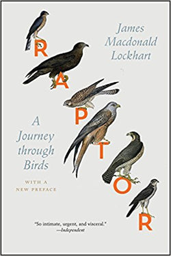 Raptor: A Journey through Bird