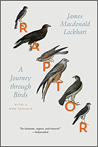 Raptor: A Journey through Bird
