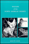 Wildlife of the North American Deserts
